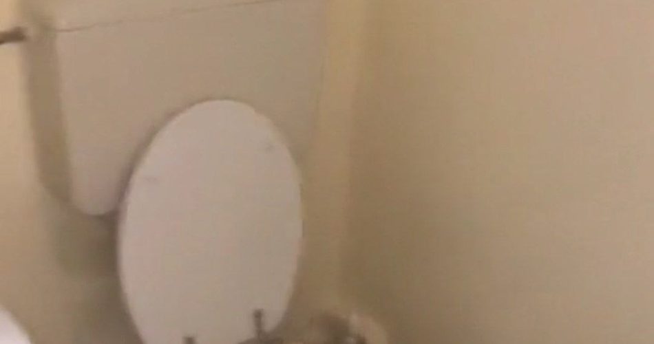 photo_2022-08-11_19-17-26