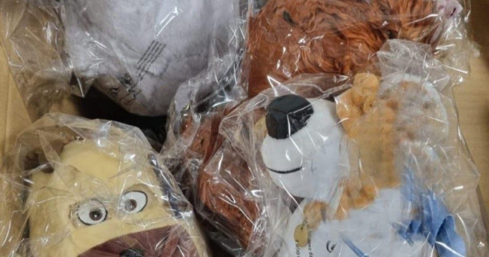 photo_2022-10-22_08-18-05