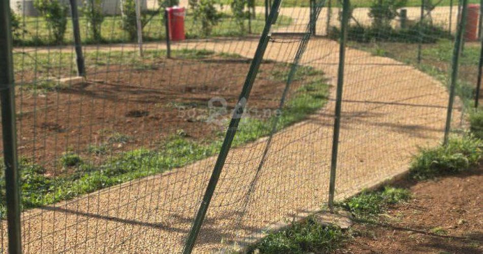 photo_2024-04-24_15-07-18 (3)