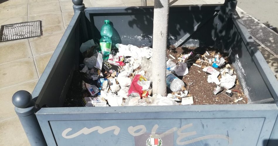 pianta con immondizia