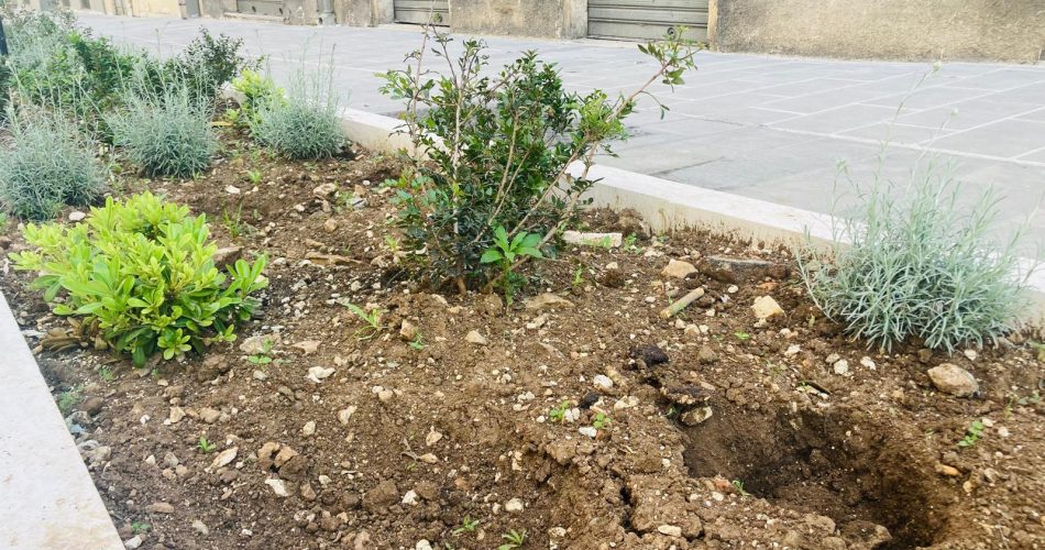 piantine Via Manzoni