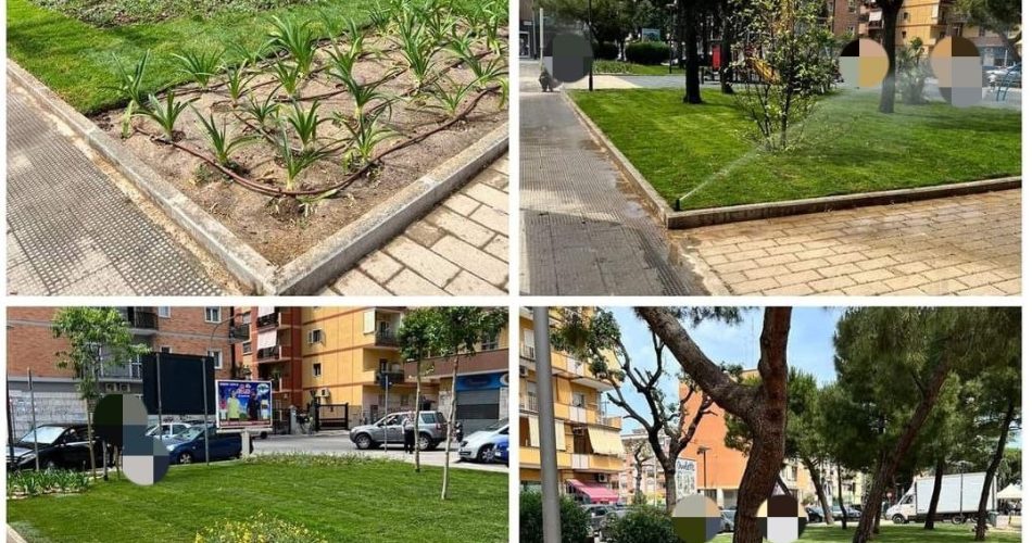 Foto Facebook Decaro