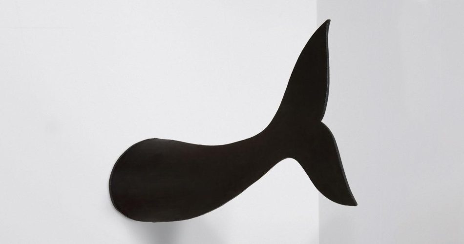 "Coda di delfino" di Pino Pascali