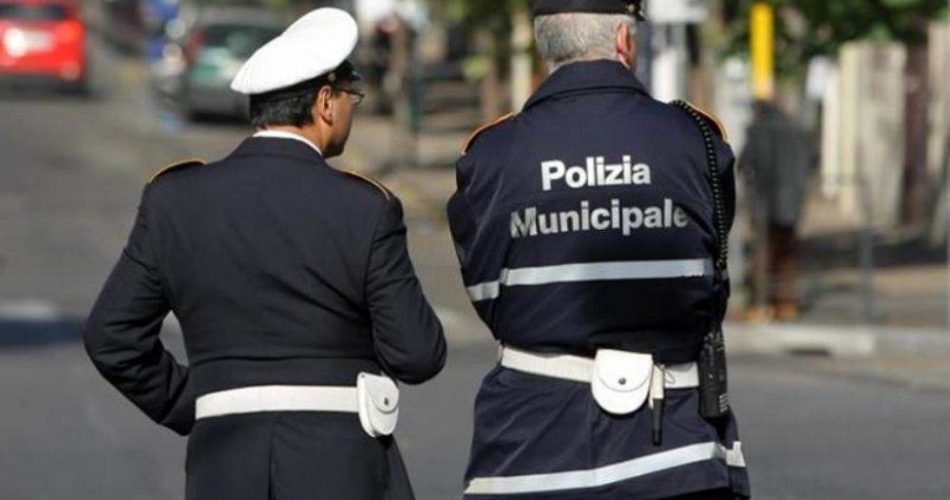 Polivi