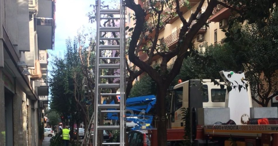 potature via De Rossi.1