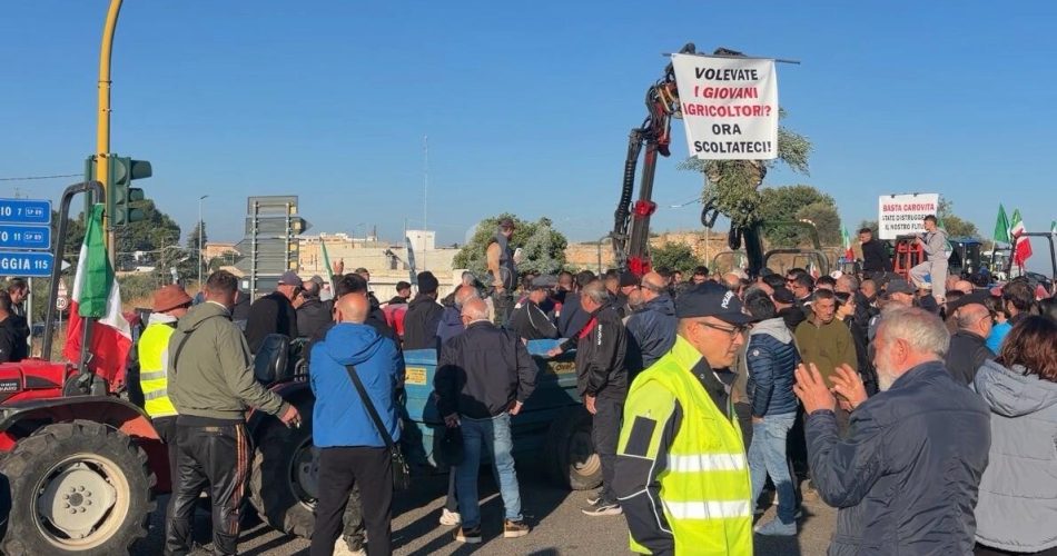 protesta Bitonto