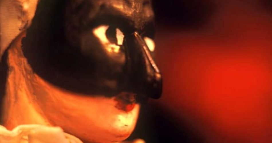 Foto: Jonian Dolphin Conservation