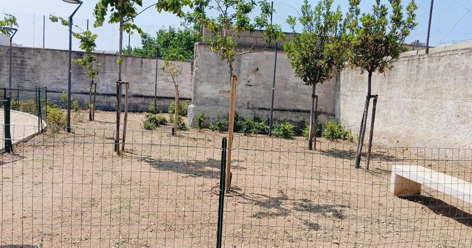 pulizia aree sgambamento