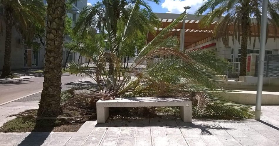 received_1748746908473296