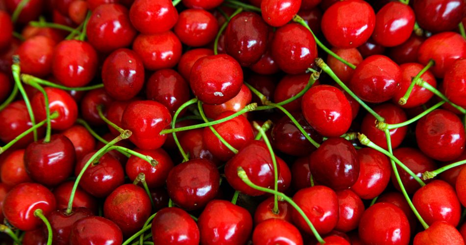 Red cherries with green stems, top view. High quality photo