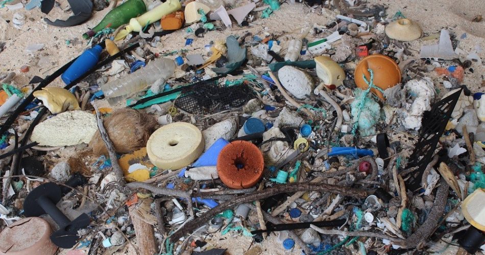 La spiaggia orientale dell'isola di Henderson. Credit: Jennifer Lavers