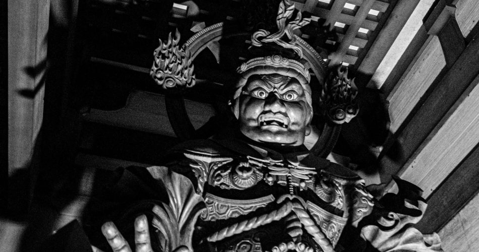 robert-bota-McVEB2ursGU-unsplash