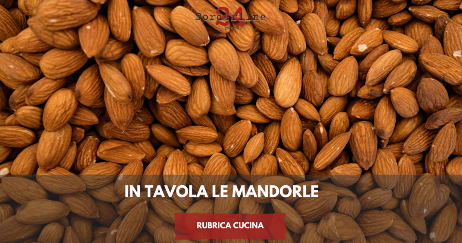 rubrica bl24 (31)