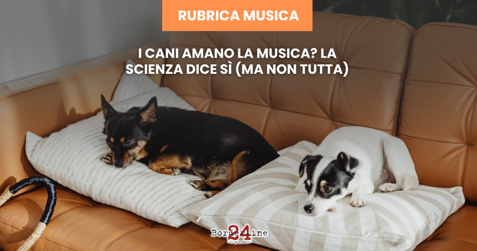 rubrica bl24 (54)
