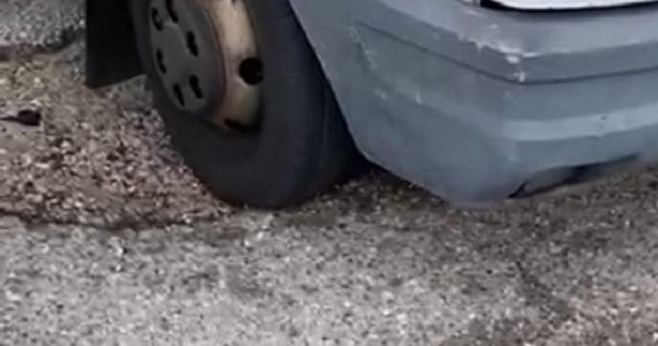 ruote mercato luned'