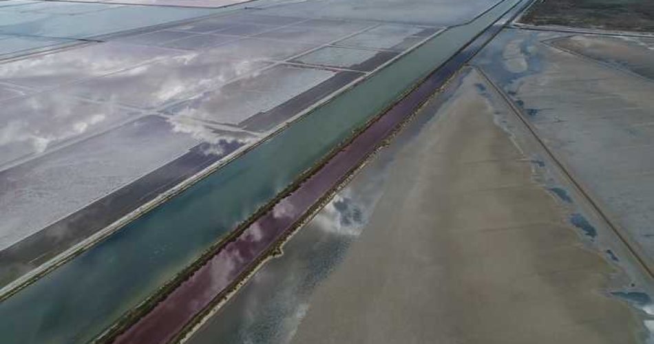 sequestro condotta abusiva realizzata a margine impianto produzione sale delle ‘Saline di Margherita di Savoia’ foto ansa