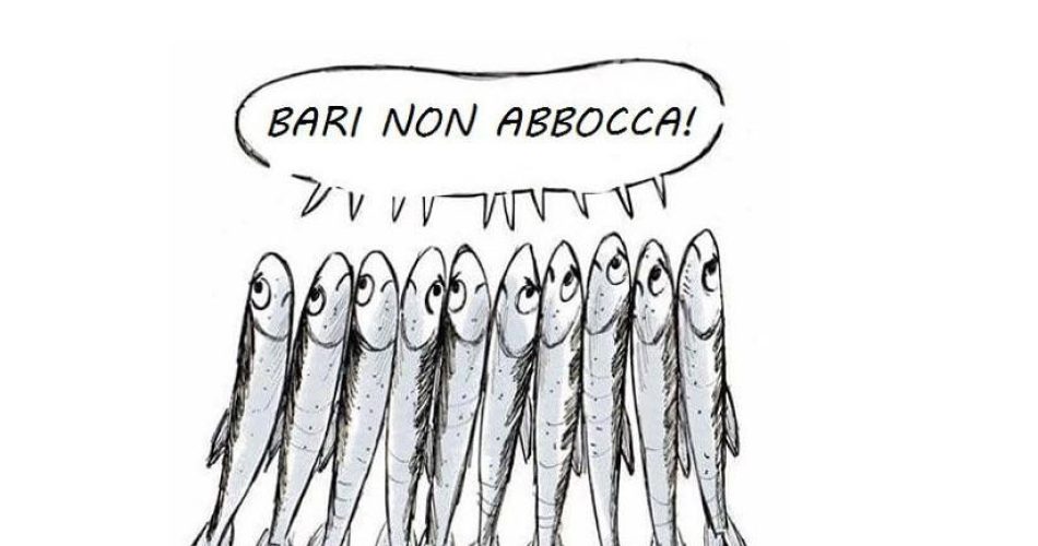 sardine