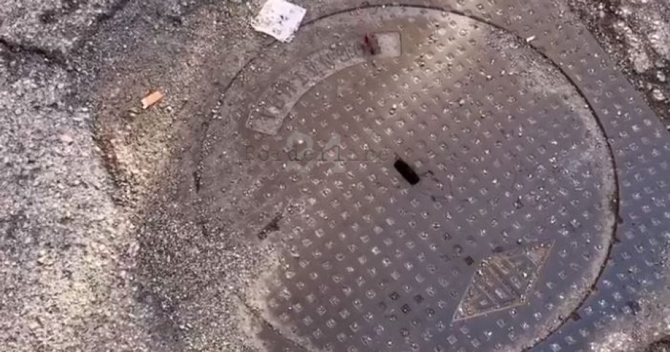 scarafaggimungivacca