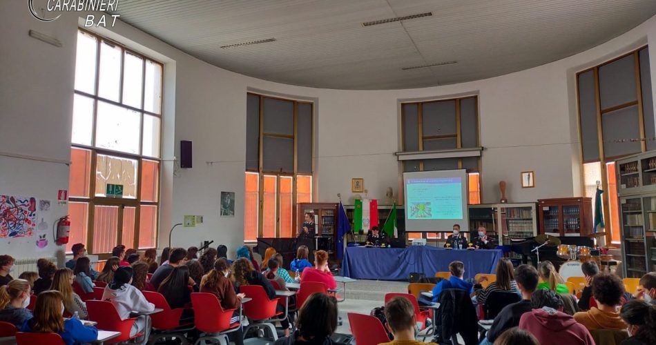 scuola barletta casardi log