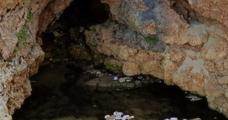 segnalazione monopoli (1)