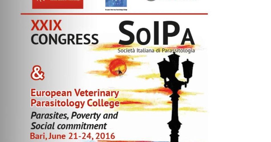 Soipa