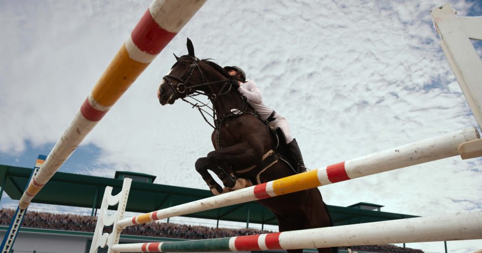sport-equestre-ragazza-giovane-cavalca-a-cavallo-in-campionato