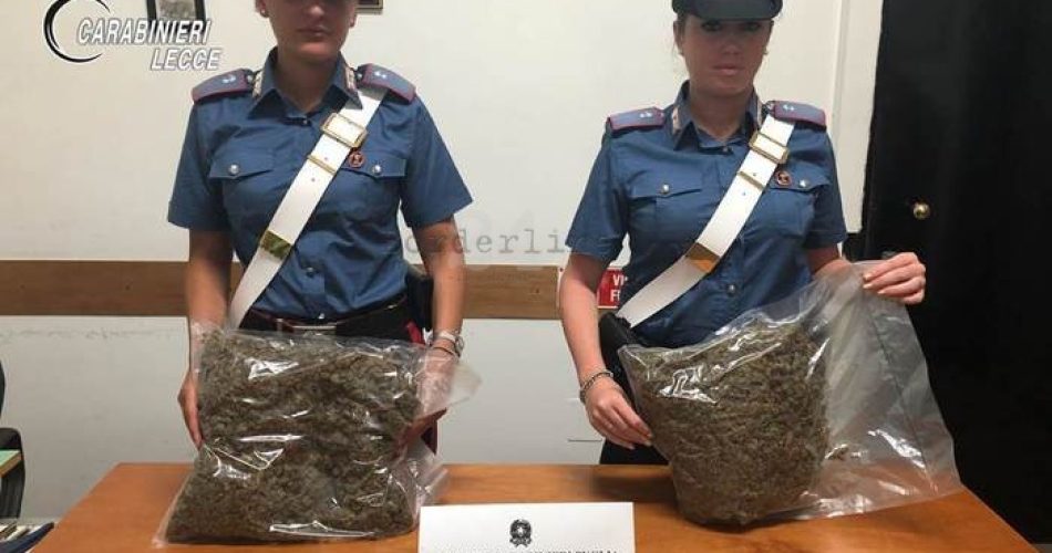 Marijuana sequestrata a Monteroni