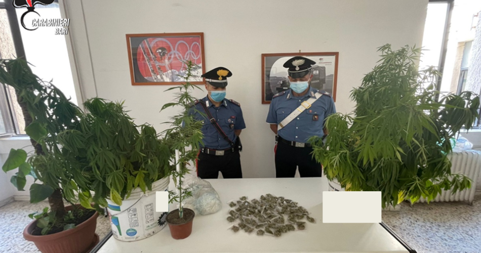 stupefacente BARLETTA