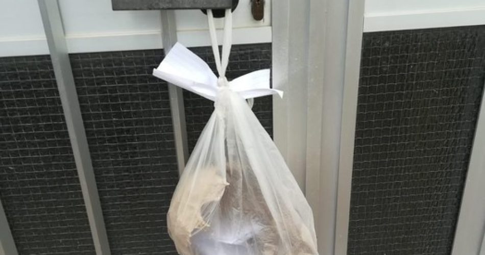 Teschio umano e minacce di morte a sindaco nel Foggiano foto Ansa