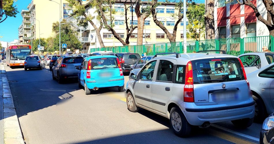 traffico via redavid