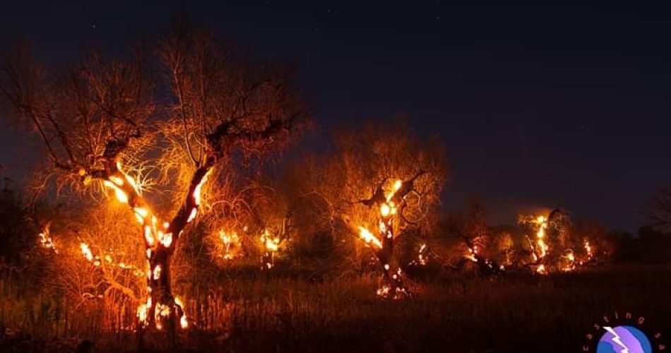 Foto Nowcasting Salento