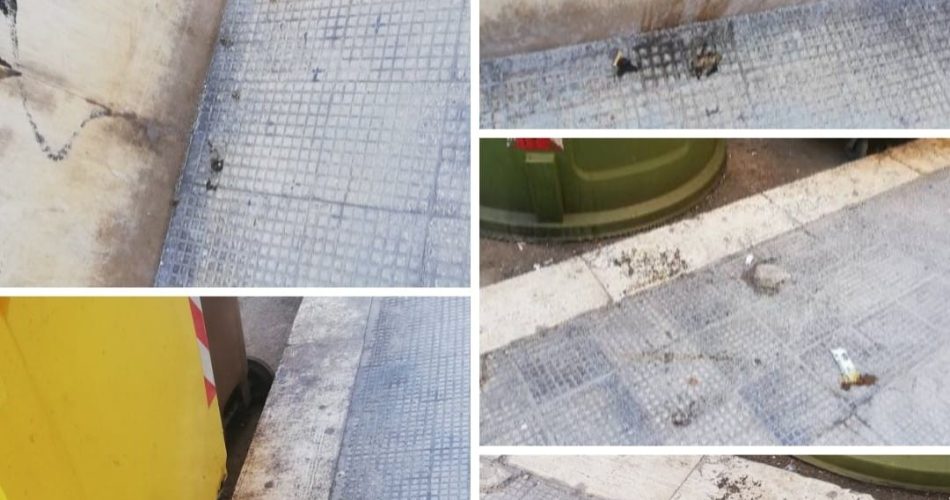 vianicolai allagamenti