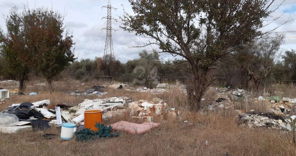 vigilanza ambientale