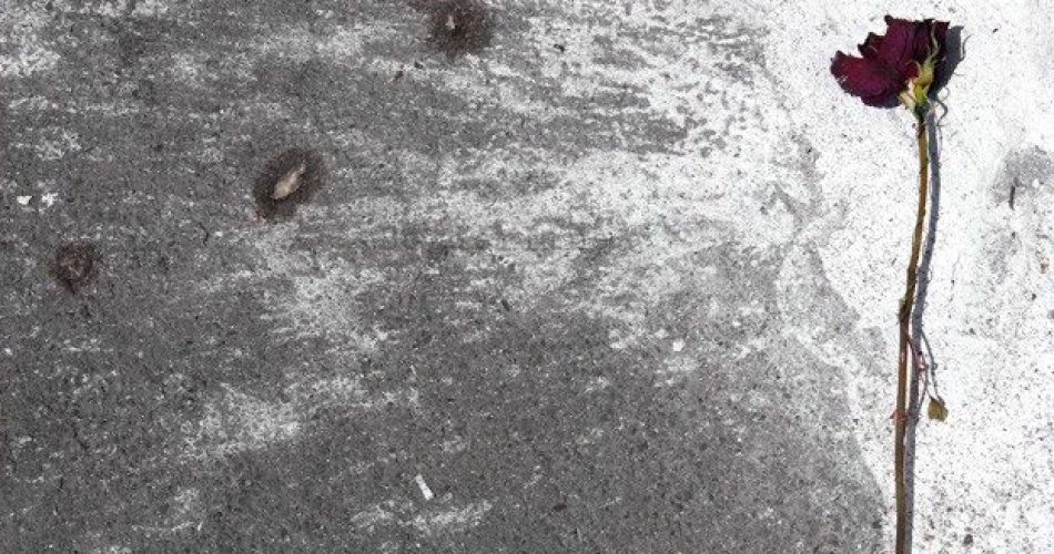 vita difficile dei fiori