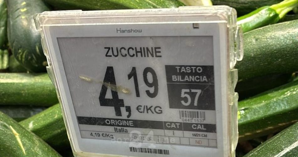 zucchine