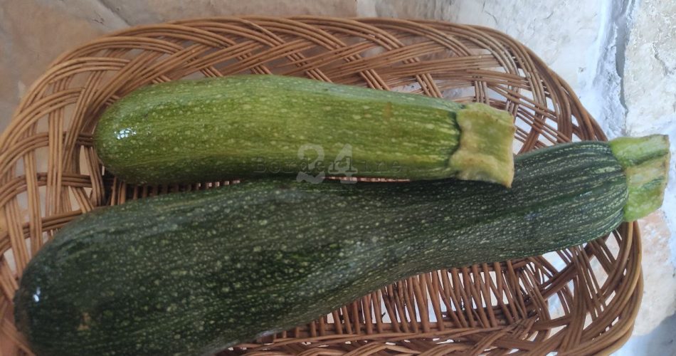 zucchine