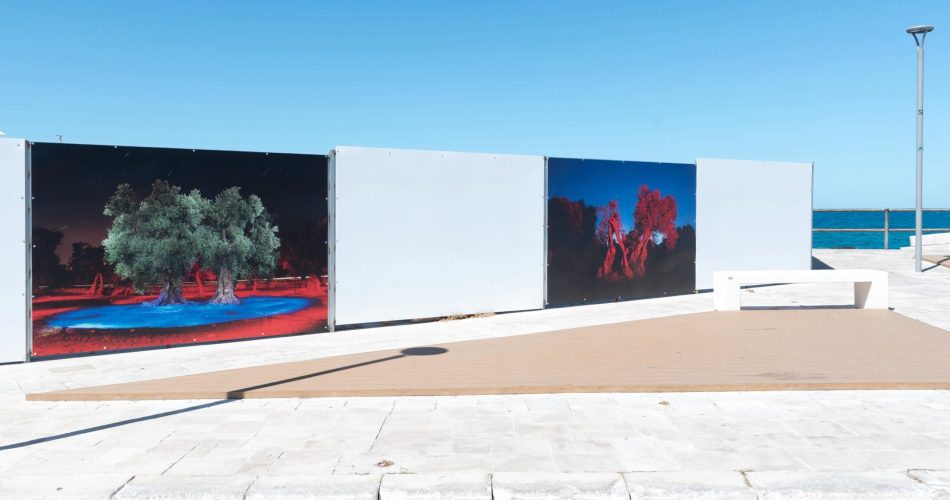 ©Alejandro Chaskielberg_03 ©Nico Palmisano